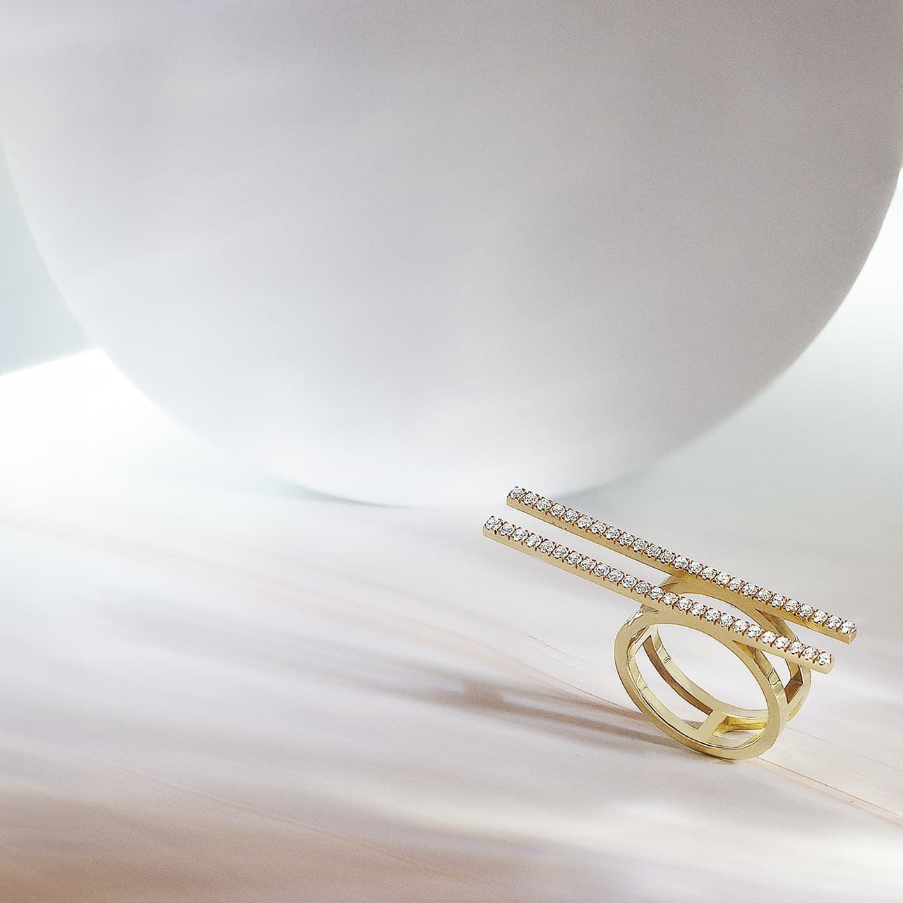 Shivyon. Picture of Equality Ring.